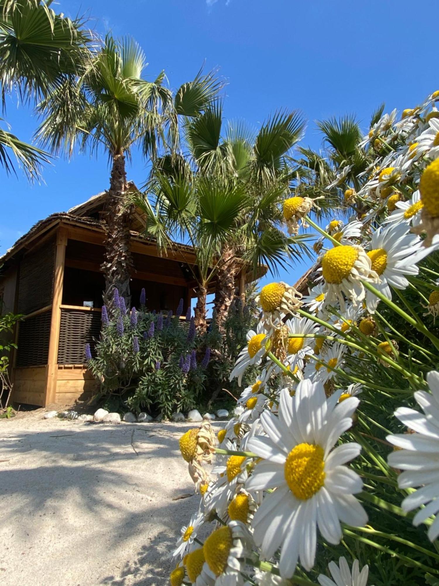 Hotel Kon Tiki Ramatuelle Esterno foto